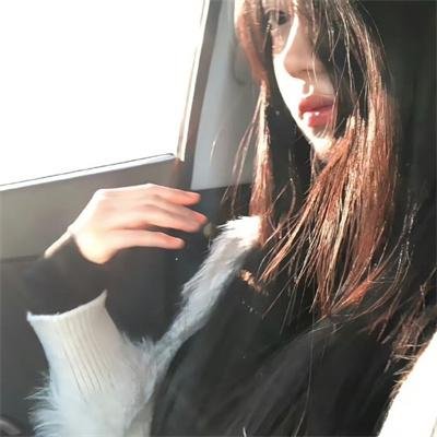 代号猎鹰