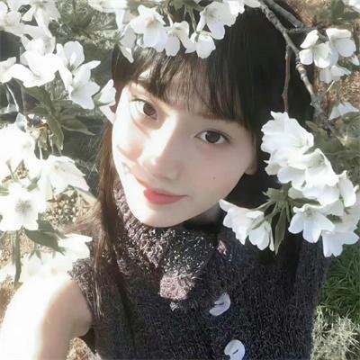 良言难改执拗心