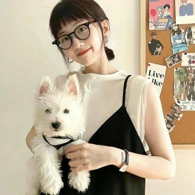 新绿野仙踪