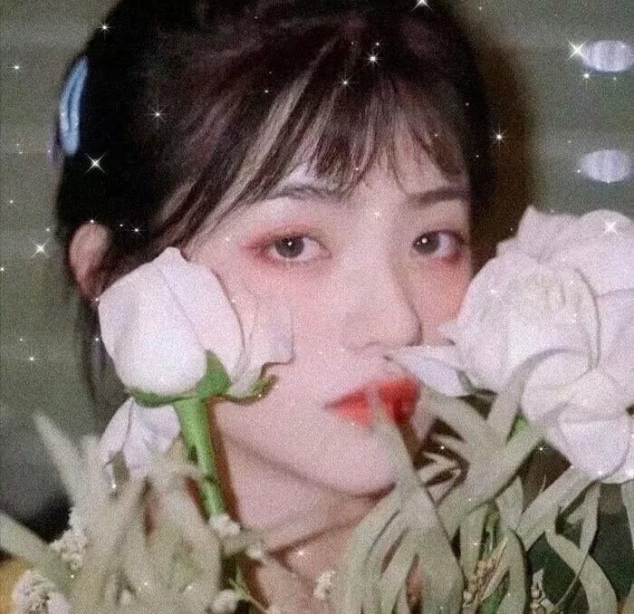 步步惊心之庶女王妃