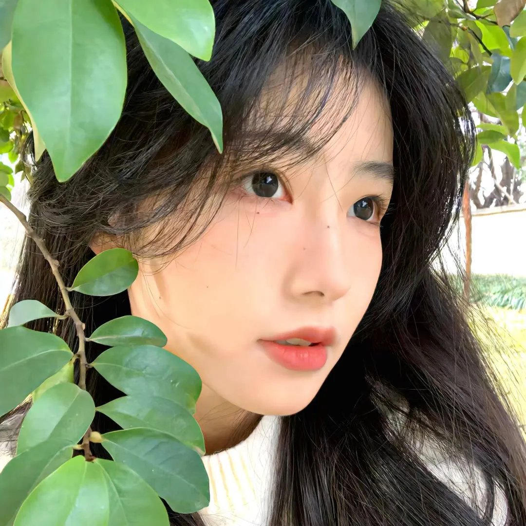 如花美眷